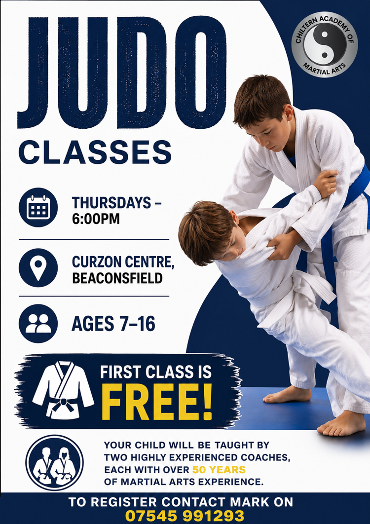 Poster from Kids Judo and Kung Foo